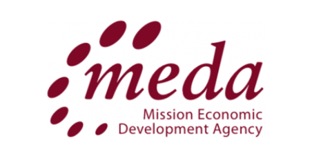 Meda logo