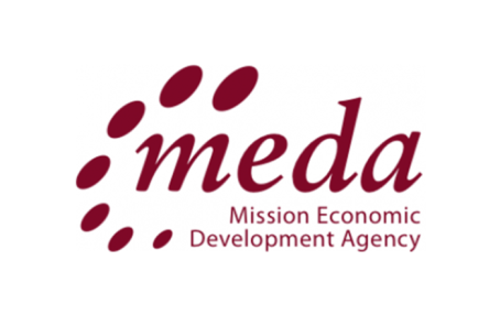 Meda logo